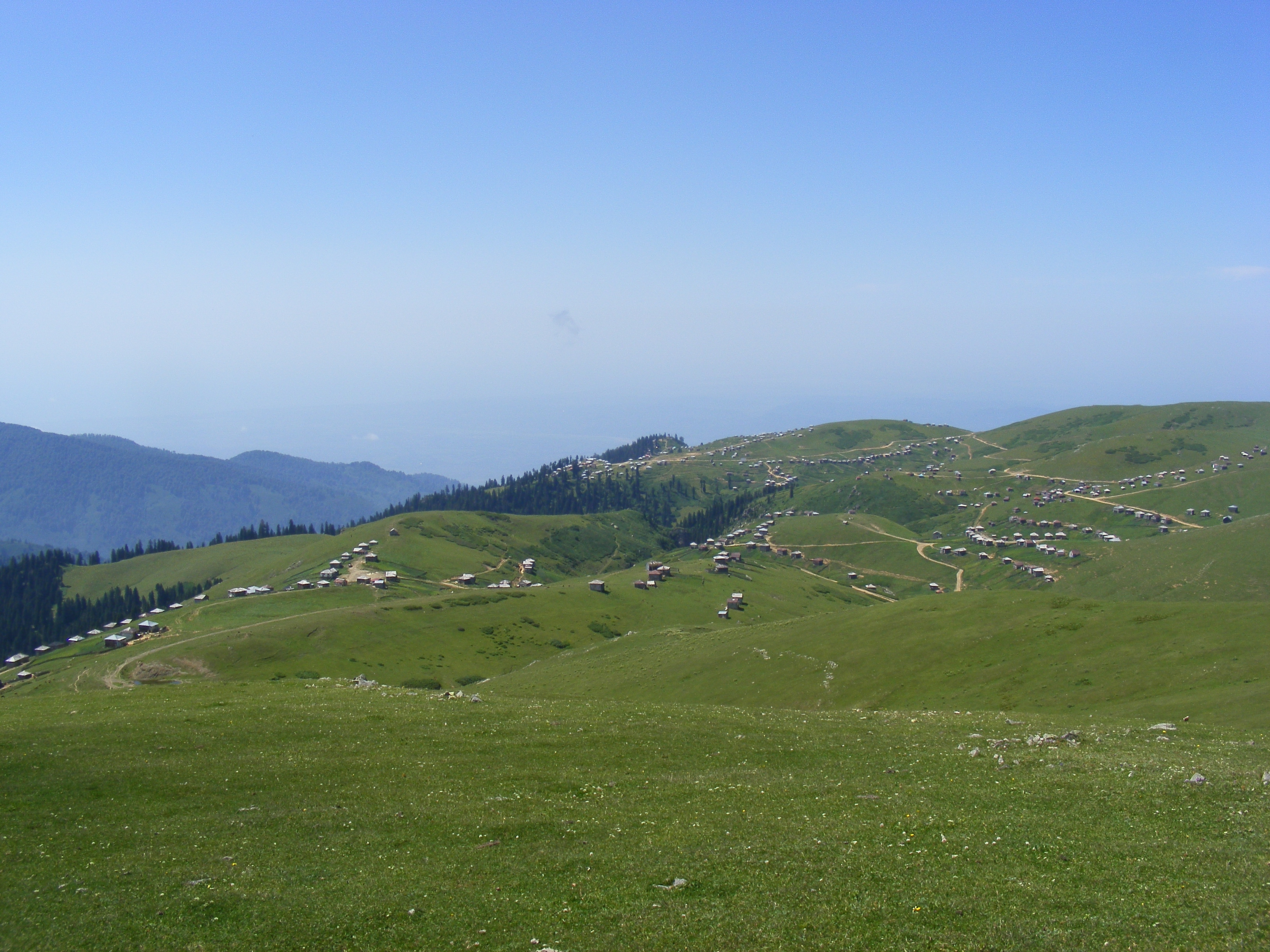 გომის მთა